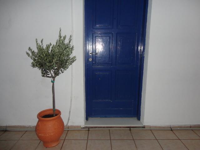 Livadia  Pavlos Rooms מראה חיצוני תמונה
